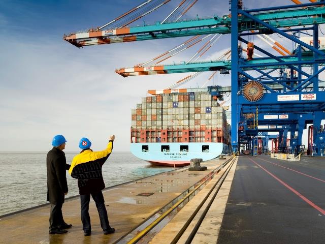 Ocean Freights